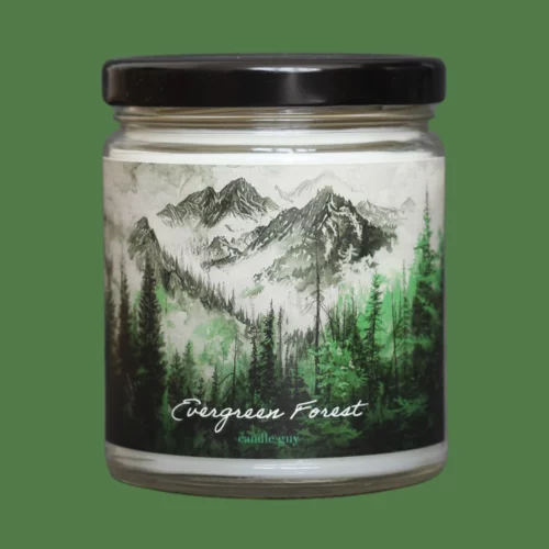 candle guy Duftkerze evergreen forest green